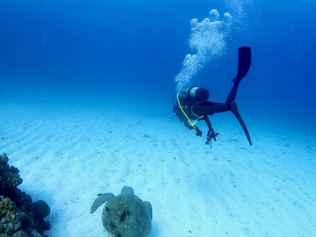 沖縄の青い海へ!!Let's DIVING!!_ダイビングサービスジャミング