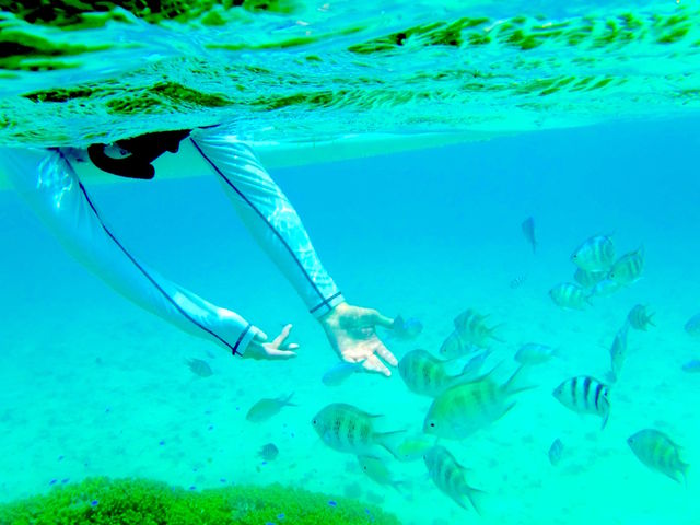 SUPからシュノーケルで熱帯魚がお出迎え🎵_Ohana SUP Okinawa(オハナサップオキナワ) STAND UP PADDLE &BEACH ACTIVITIES