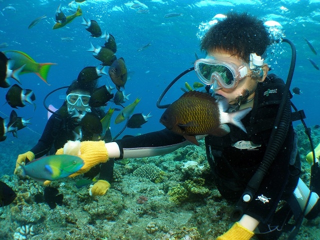 Sea Monk