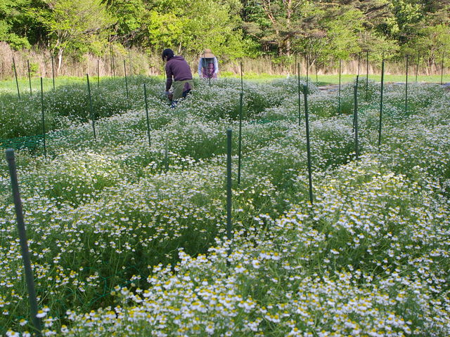 那須高原HERB´s