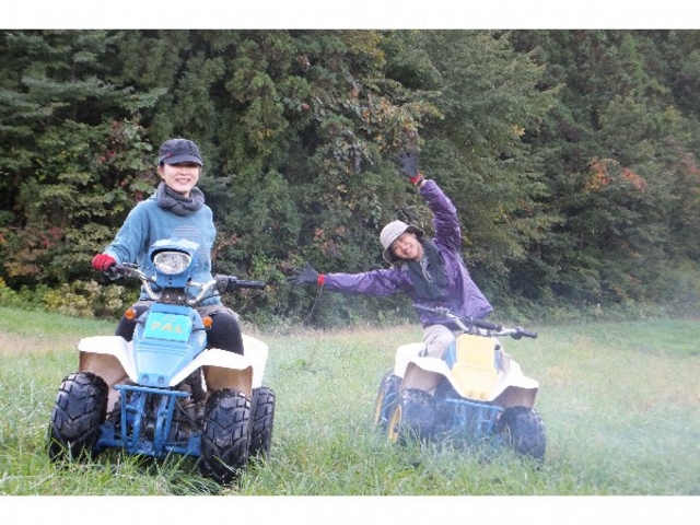 Buggy-PAL