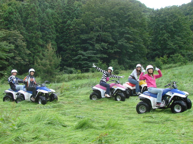 Buggy-PAL