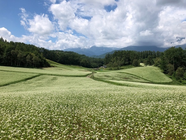 NPO地域づくり工房