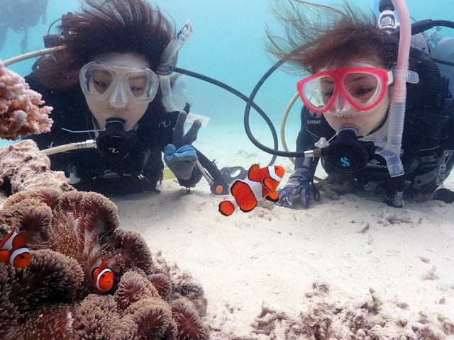 石垣島FLOWFISH