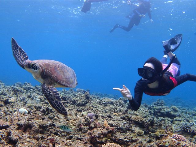 石垣島FLOWFISH