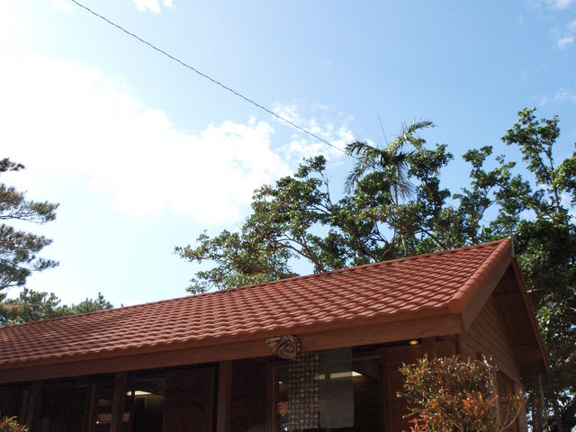 植物園内のんびりしてます_シーサー陶房 球