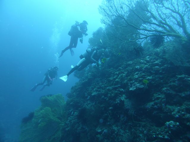 開発から取り残された自然豊富な沖縄本島南部の海をメインにご案内!_一組貸切専門「海の遊び処 なかゆくい」