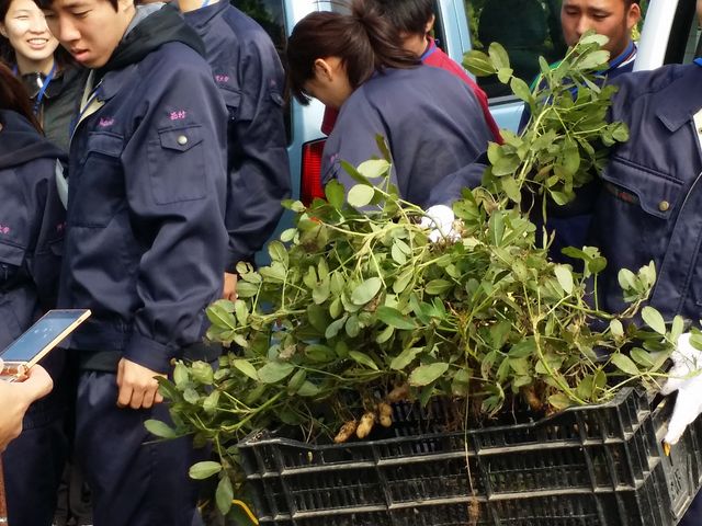 農家レストラン まねき猫(農業体験)