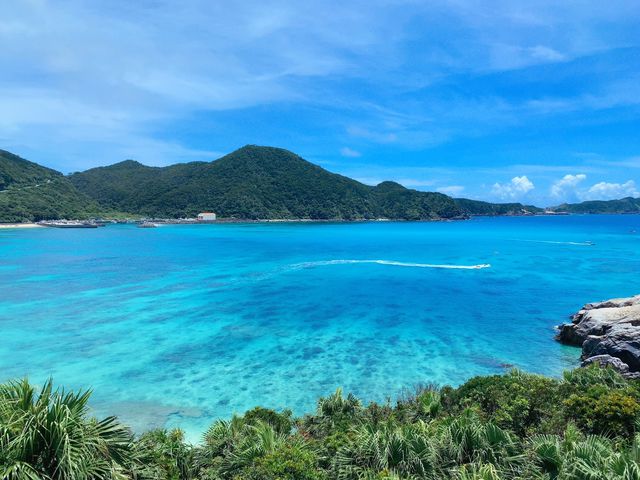 透明度抜群!渡嘉敷島の海へ行きませんか!_株式会社セルリアンブルー