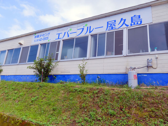 エバーブルー屋久島