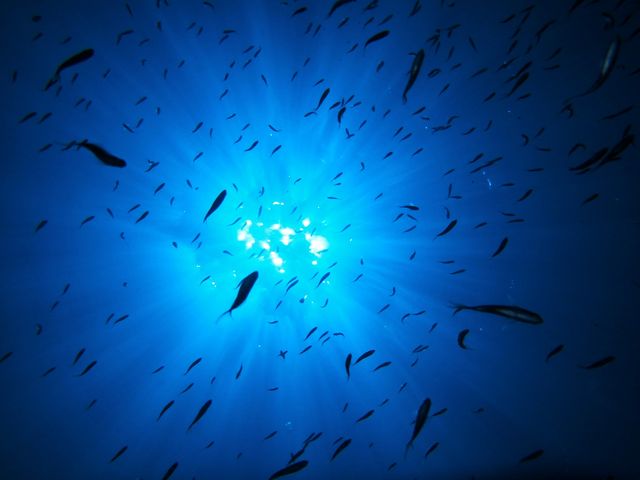 神秘的な地形や面白いポイントなどなど宮古島の海が皆さんをお待ちしております!!_OKマリンクラブ宮古島
