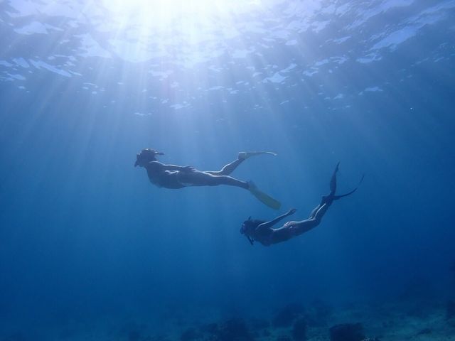 シュノーケルツアー幻の島、青の洞窟、体験しよう!スタッフと一緒に!_JABURO