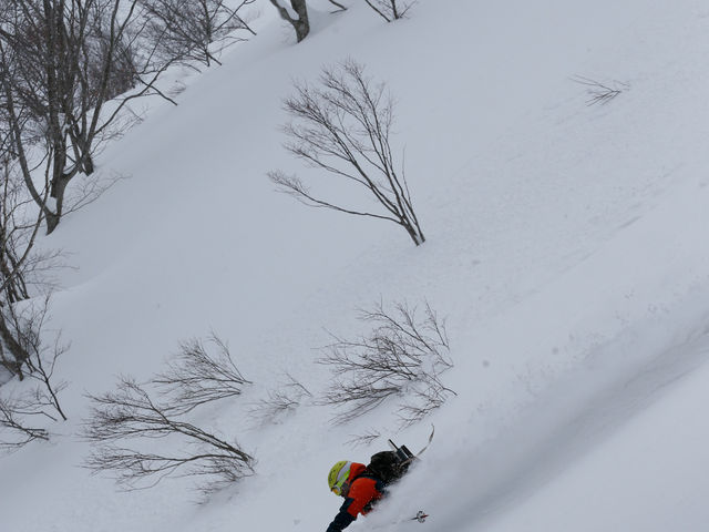 白神山地ガイド会