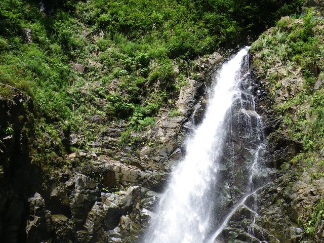 白神山地ガイド会