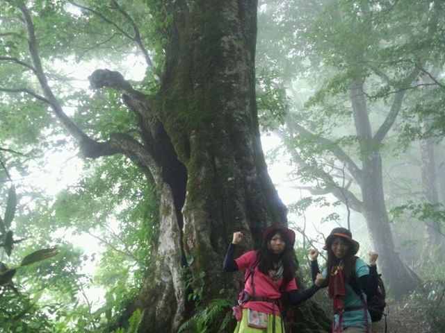 白神山地ガイド会