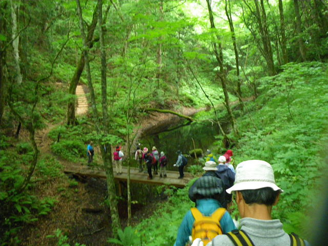 白神山地ガイド会