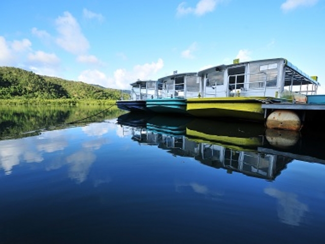浦内川観光_浦内川観光