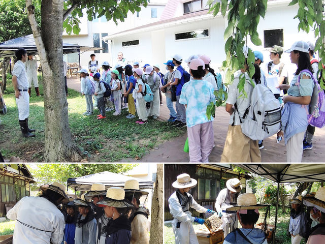 有限会社松本養蜂総本場