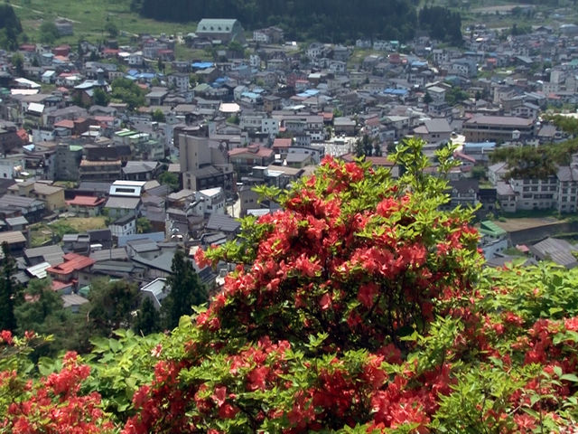 つつじの季節には温泉街を一望できるつつじ山もおススメです。_野沢温泉観光協会自然体験プログラム