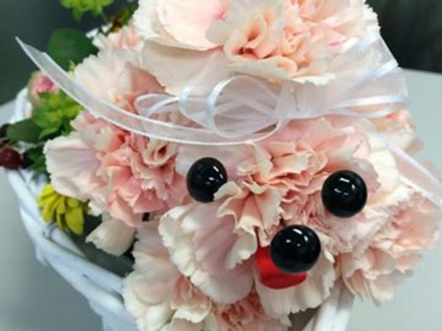 DDT FLOWERS 新宿