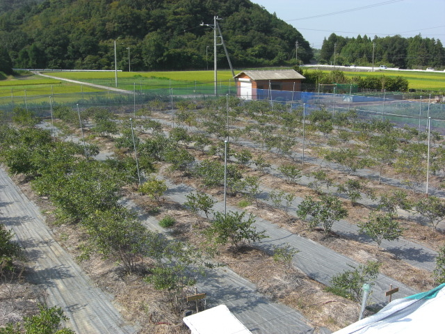 M's Farm