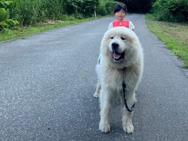 受付には未来予知犬
【ボンド】がいます。_グリランド