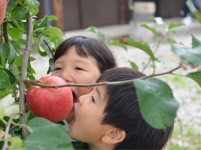 ふれあいの家