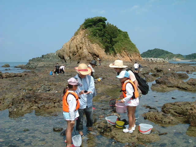 浮島にて磯遊び中_島の旅社
