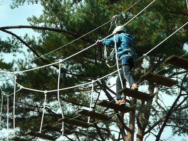 吊り橋なんて怖くない_DGヴァカンス村 ウッドアドベンチャー郡上