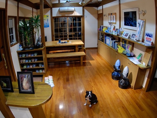 木の温もりを感じられる店内_Diveing Servise P-FISH