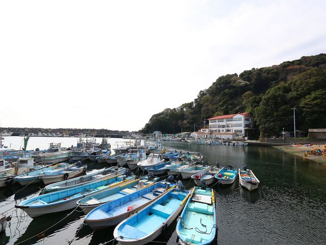a_答志島温泉 美さき