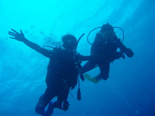Dive Colors