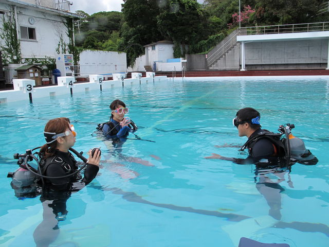 Dive Colors