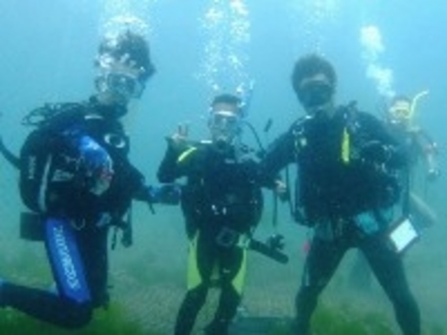 Dive Colors