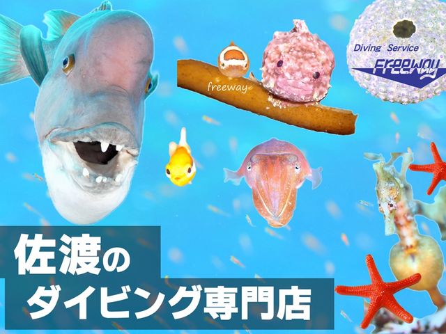 フリーウェイ