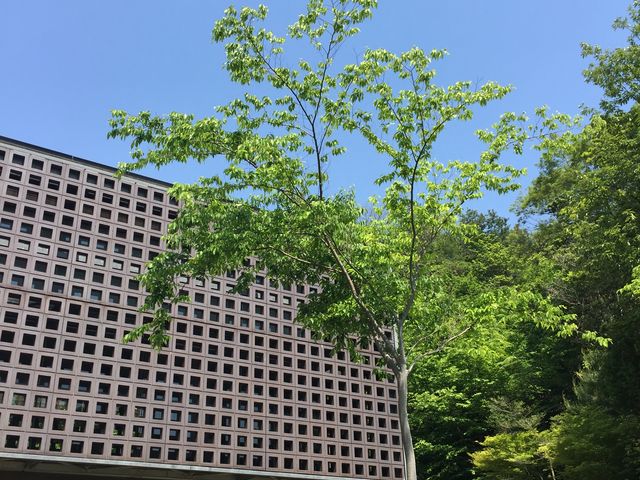 外観。緑に囲まれる施設です。_セラミックパークMINO作陶館