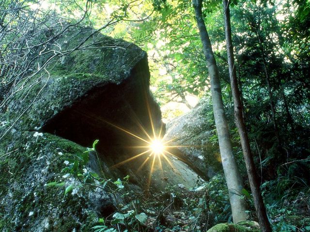 【金山巨石群】飛騨金山には、日本に数多くある巨石群の中でも、考古天文学的調査が行われた最初の遺跡も!こちらのツアーも行っておりますので、お問い合わせを。_金山町観光協会