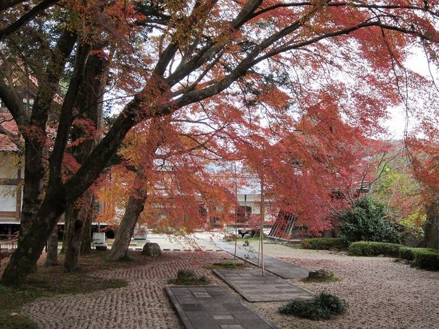 【王龍寺】江戸初期に飛騨国主であった金森長近が再興。もみじは京都より移植、庭は金森宗和作。_金山町観光協会