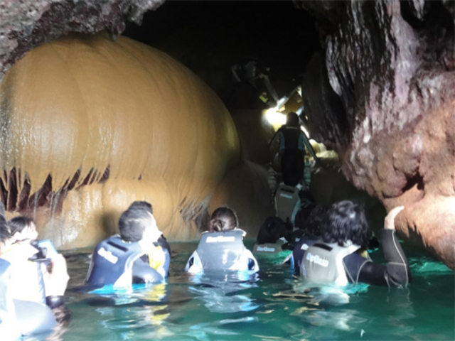 あれがパンプキンです!!_海宝館シーブルーム