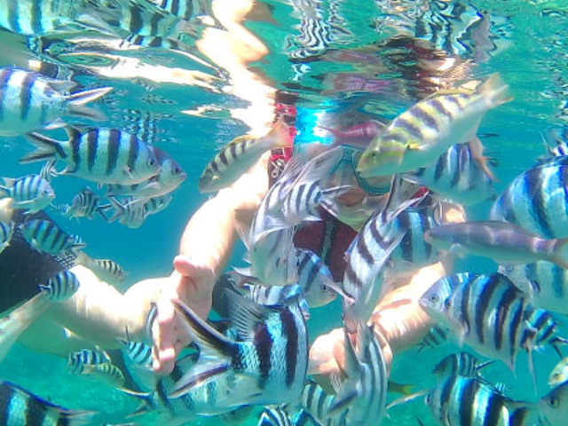 国頭村近辺でボートでシュノーケリングツアー!魚の感覚に包まれます!_オクマナビ