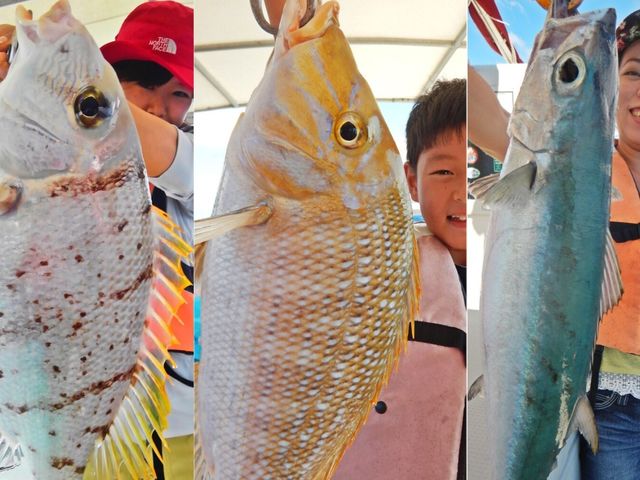 家族や仲間とチャレンジ!技術より運が大事かも!? 条件が合えば色々な種類の魚や高級魚が釣れるチャンスも十分あります。幸運に恵まれた方は大物も!_GOGOフリッパーズ石垣島