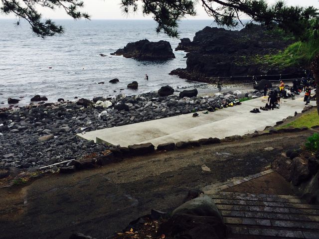 利用ダイビングポイント例、伊豆海洋公園(イメージ)_DiveCenter MSS