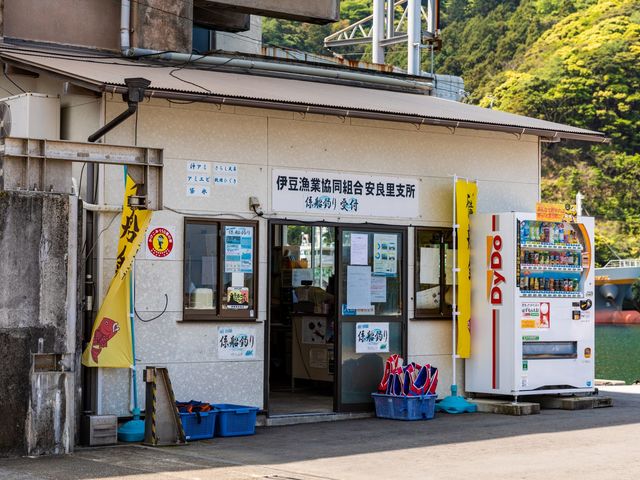 集合場所は伊豆漁協安良里支所です。安良里港の目の前、黄色い係船釣りののぼりが目印です。_安良里漁港 係船釣り