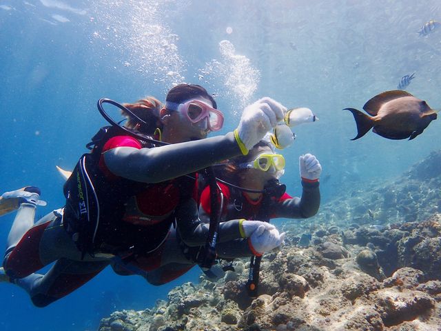 お魚に餌をあげなくても触れる近さまでよってきてくれる_沖縄青の洞窟てぃん