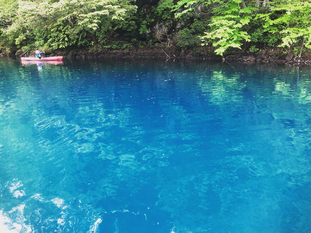 Bluebird Canoe