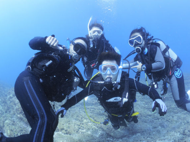 香川県を拠点にダイビングツアーを開催中! Diving Shop Blue blueです。_ダイビングショップブルー ブルー