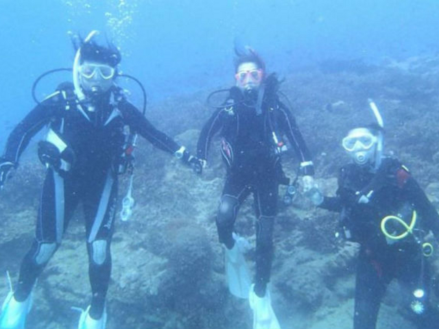 四国の海を中心に、初心者から上級者まで大満足いただけるツアーをご提供しています。_ダイビングショップブルー ブルー