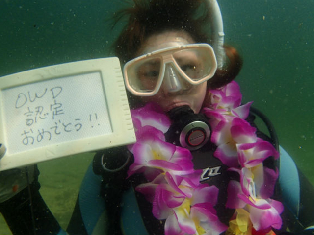 ライセンス講習も開校中!香川県のショップから各地の海までは送迎サービスも可能です。_ダイビングショップブルー ブルー