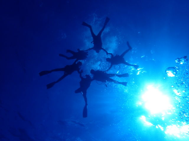 海の世界には不思議がいっぱい。何度潜っても飽きないのがダイビングの魅力です。_ダイビングショップブルー ブルー
