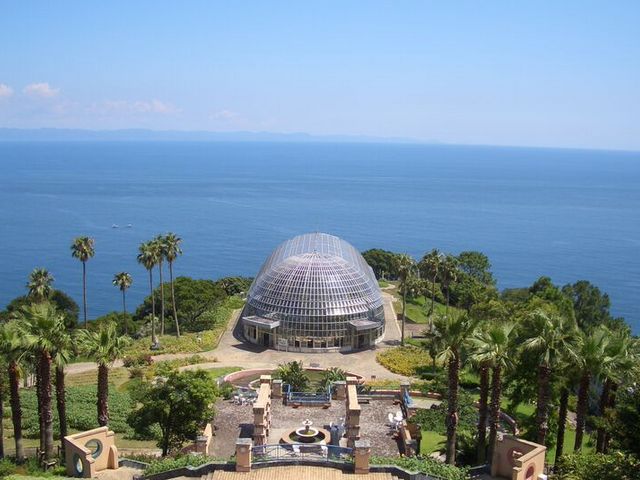 長崎県亜熱帯植物園_長崎県亜熱帯植物園